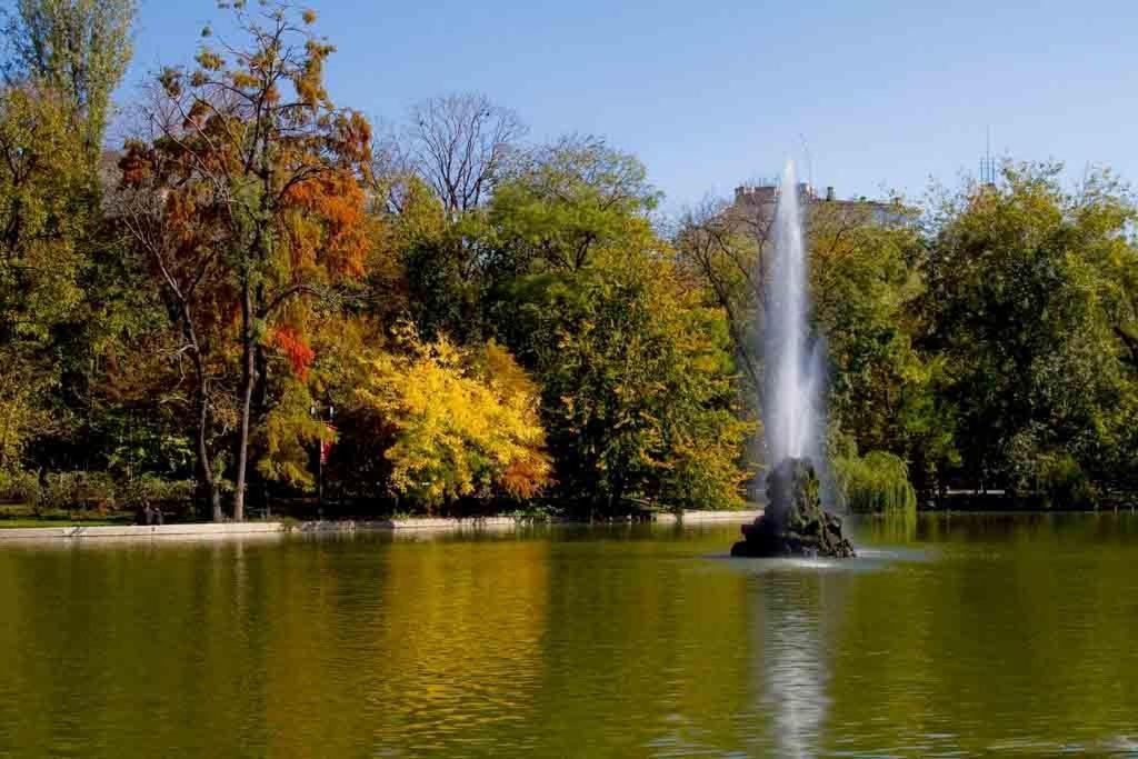 Central Park ブカレスト 部屋 写真