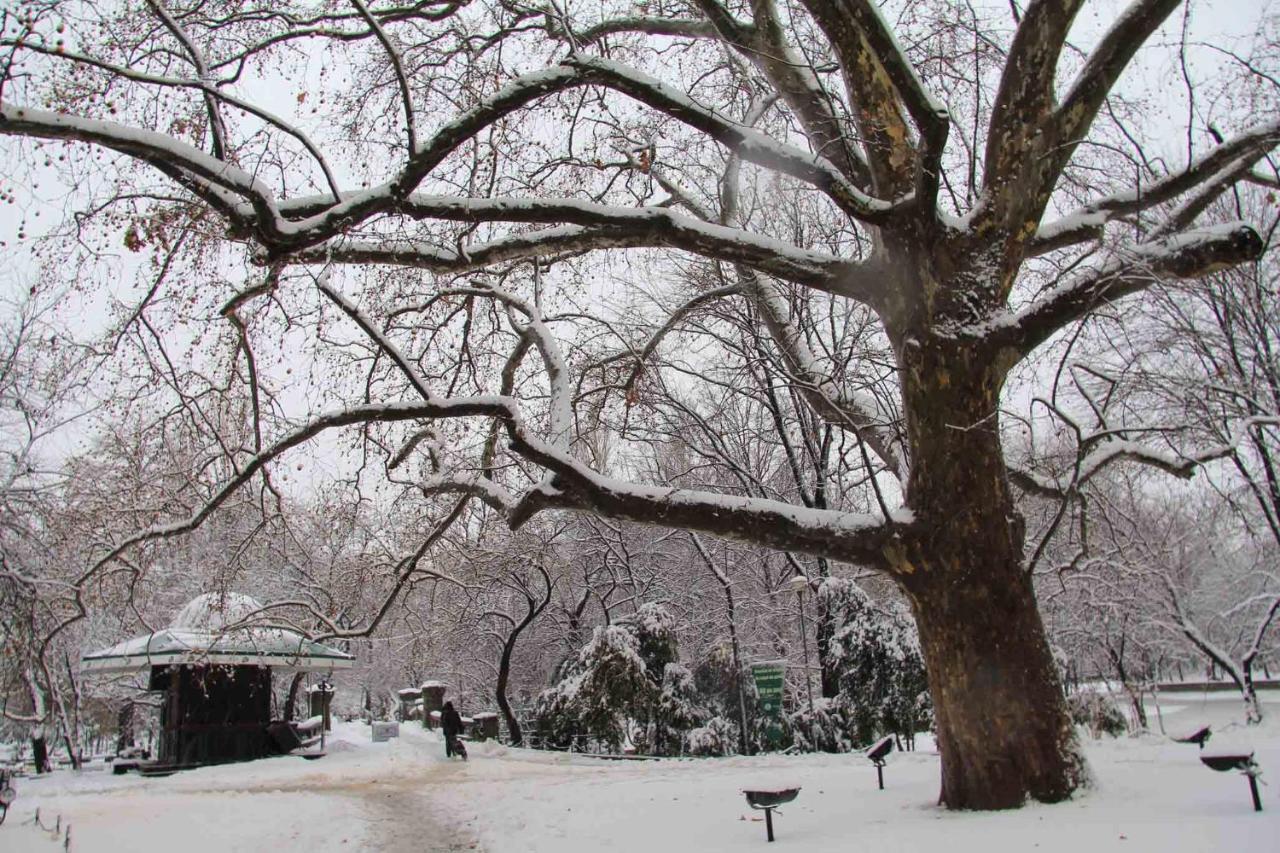 Central Park ブカレスト エクステリア 写真