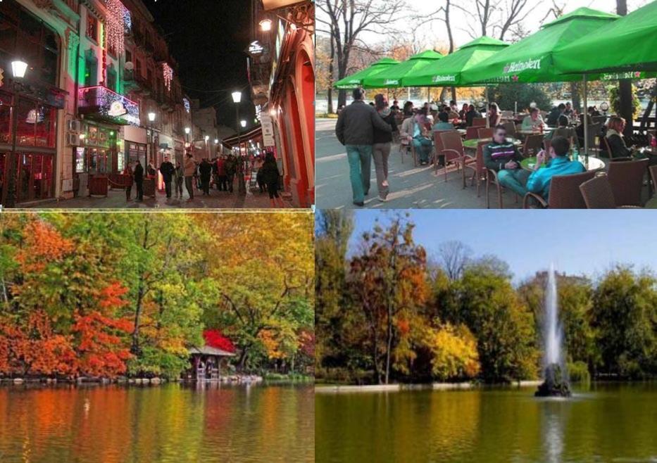 Central Park ブカレスト 部屋 写真